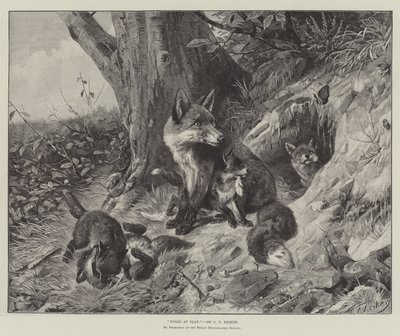 キツネの遊び 作： Carl Friedrich Deiker